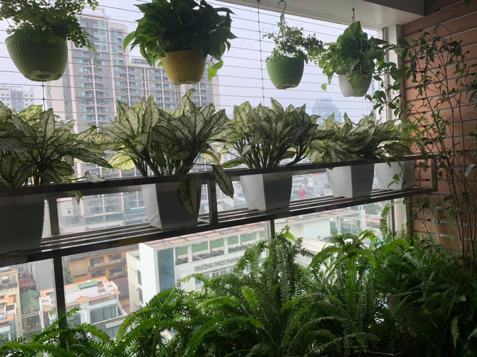 Bán gấp căn góc 3PN - 97m2 tại Imperia Garden, SHLD giá tốt